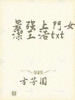 最强上门女婿李洁王浩txt