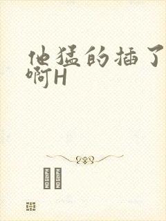 他猛的插了进去啊H