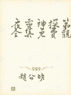 夜灵神探第一季全集免费观看高清封面