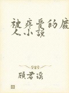 被疼爱的废物美人小说封面