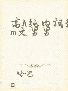 高h纯肉调教sm文男男