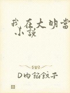 我在大明当暴君 小说