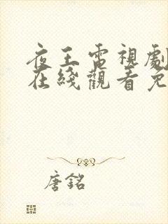 夜王电视剧全集在线观看免费高清