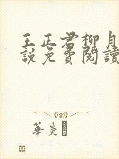 王正君柳月瑶小说免费阅读最新章节