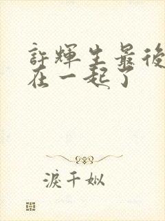 许辉生最后和谁在一起了