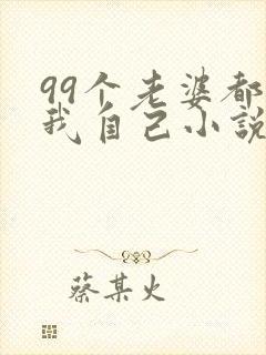 99个老婆都是我自己小说免费阅读