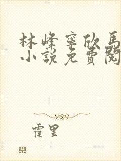 林峰宁欣马帮国小说免费阅读笔趣阁