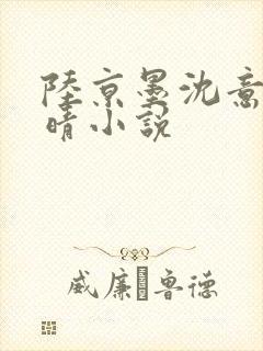 陆京墨沈意沈沐晴小说