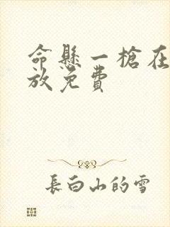 命悬一枪在线播放免费封面