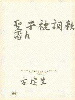 圣子被调教成禁脔h