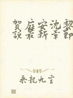 贺庭安沈黎初小说最新章节更新内容