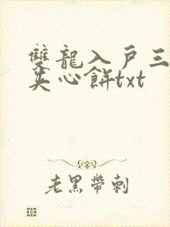双龙入户三人行夹心饼txt