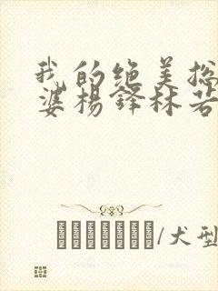 我的绝美总裁老婆杨锋林若彤