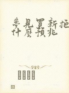 梦见买新拖鞋是什么预兆