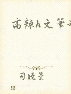 高辣h文笔趣阁