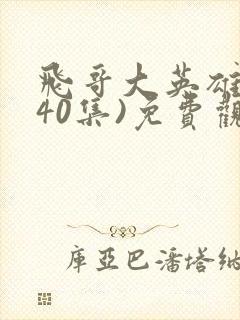 飞哥大英雄(全40集)免费观看