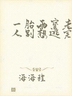 一胎两宝老婆大人别想逃完整版免费阅读