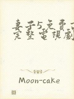 妻子5免费高清完整电视剧情年轻母亲