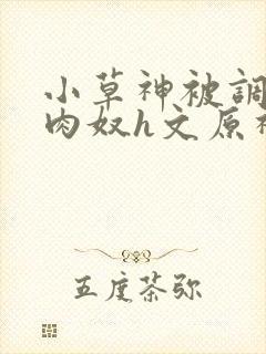 小草神被调教成肉奴h文原神