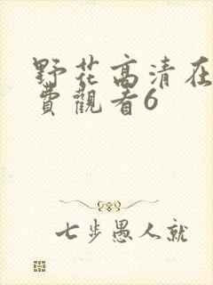 野花高清在线免费观看6