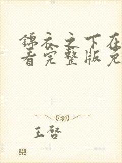 锦衣之下在线观看完整版免费观看高清