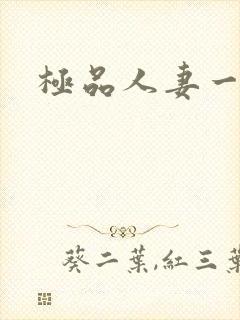 极品人妻一区二