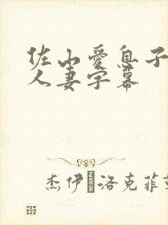 佐山爱息子巨乳人妻字幕封面