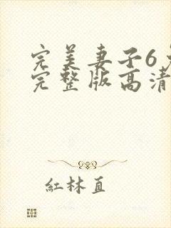 完美妻子6免费完整版高清韩剧封面