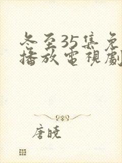 冬至35集免费播放电视剧