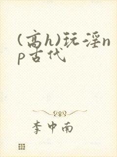 (高h)玩淫np古代封面