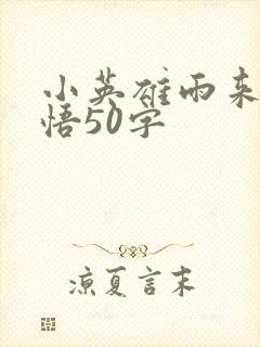 小英雄雨来的感悟50字封面