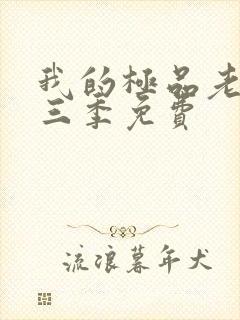 我的极品老婆第三季免费封面