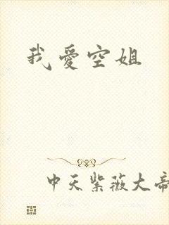 我爱空姐