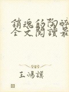 销魂的陶醉小说全文阅读最新章节封面