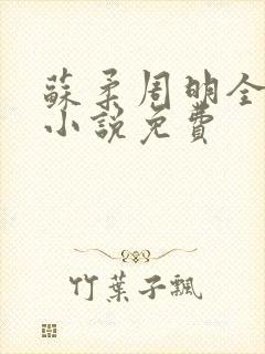 苏柔周明全赵刚小说免费封面