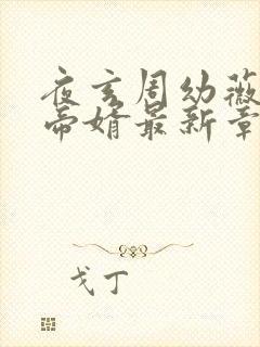 夜玄周幼薇万古帝婿最新章节