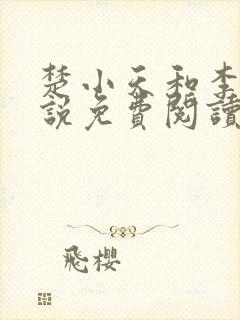 楚小天和李婶小说免费阅读封面