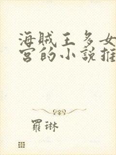 海贼王多女主后宫的小说推荐