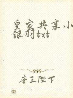 皇家共享小公主银羽txt