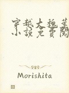 穿越大魏叶离的小说免费阅读