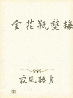 金花瓶双梅花3封面