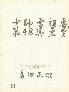 少帅电视剧全集第48集免费