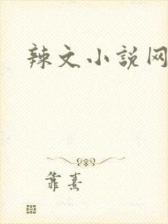 辣文小说网