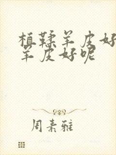 植鞣羊皮好还是羊皮好呢封面