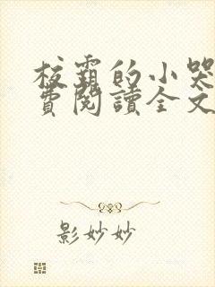 校霸的小哭包免费阅读全文