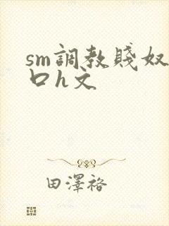 sm调教贱奴重口h文