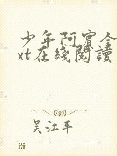 少年阿宾全集txt在线阅读