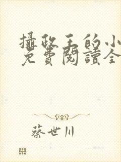 摄政王的小闲妻免费阅读全文