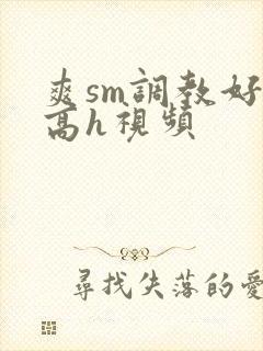 爽sm调教好舒高h视频