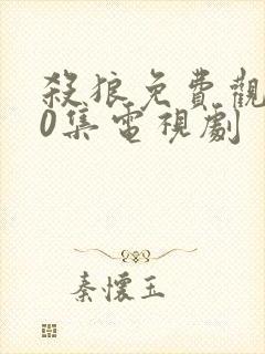 杀狼免费观看30集电视剧